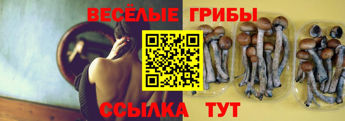 цена   Галлюциногенные грибы мухоморы  Вход с VPN  Татарск 